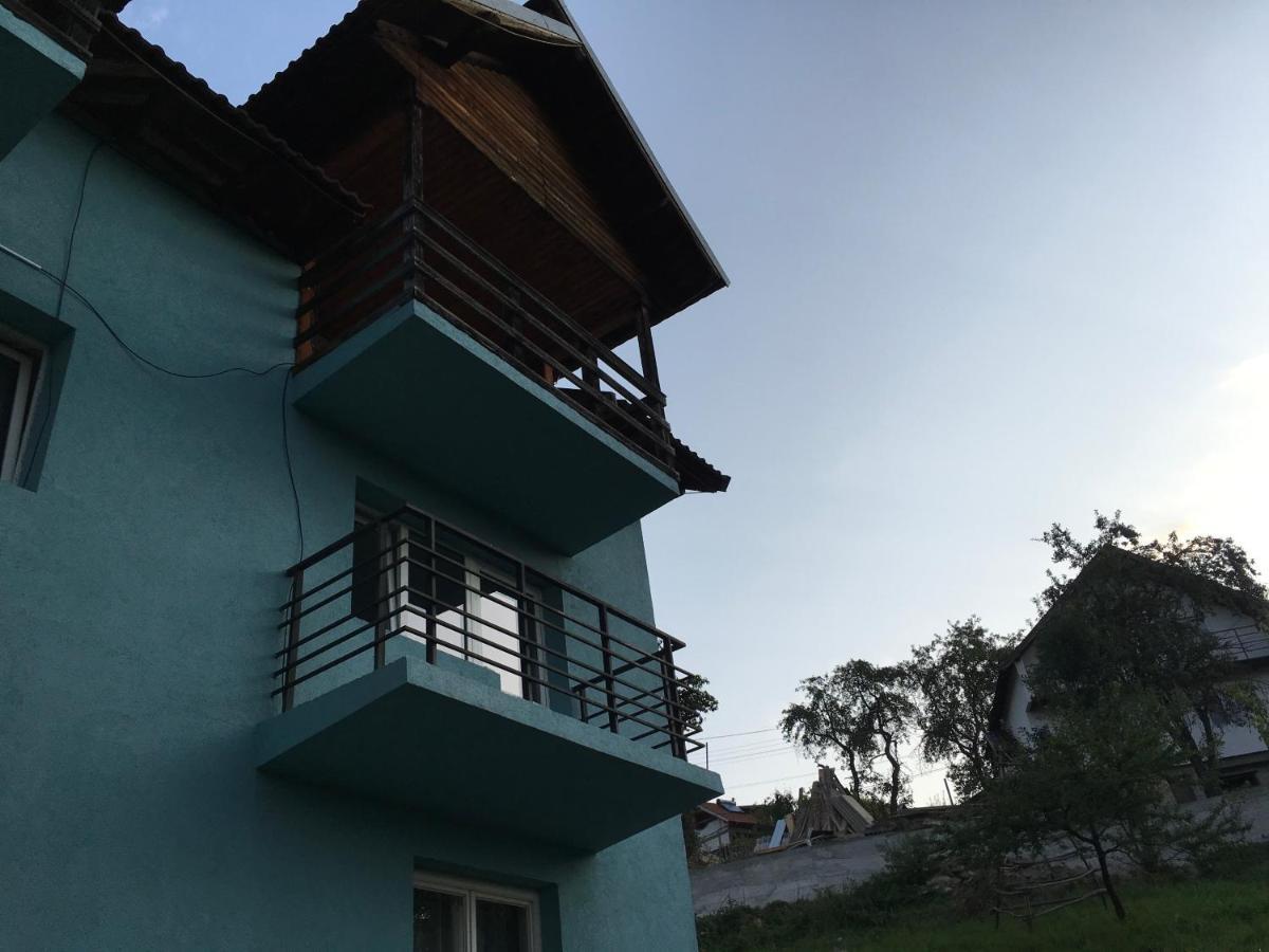 Апартаменти Casa Pelerinului Capatineni-Paminteni Екстер'єр фото